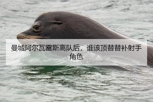曼城阿尔瓦雷斯离队后，谁该顶替替补射手角色
