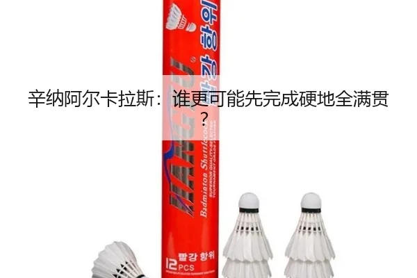 辛纳阿尔卡拉斯：谁更可能先完成硬地全满贯？